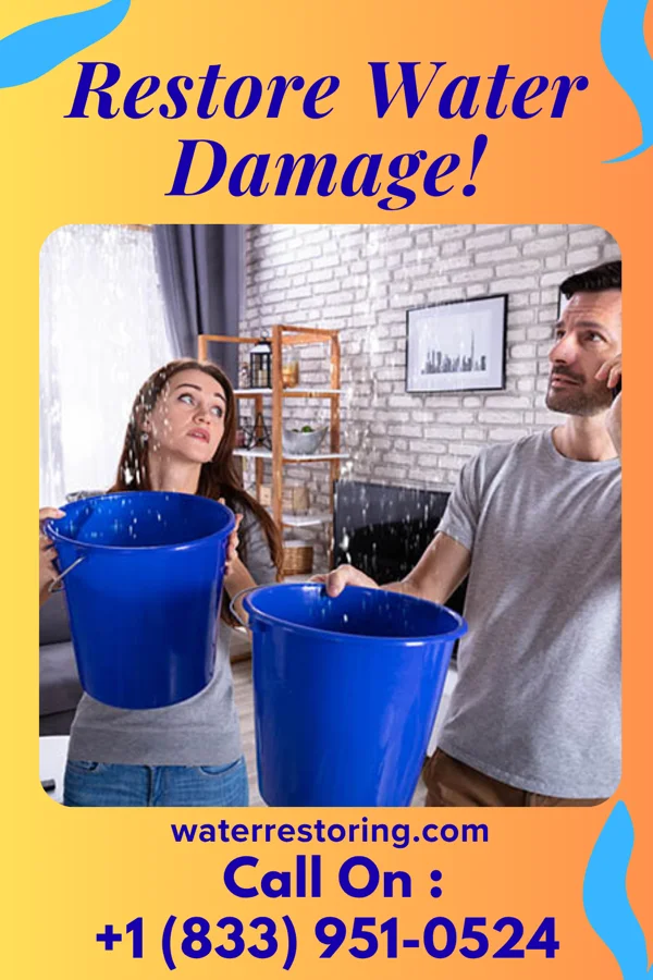 water restoration Ideal Damage Restoration Solutions Cairo