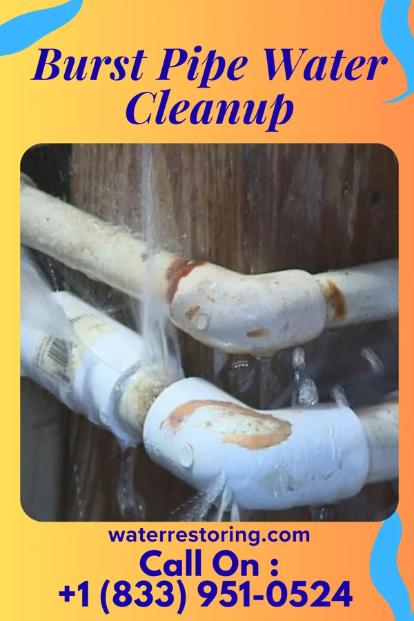 Burst Pipe Water Cleanup in Cairo, WV