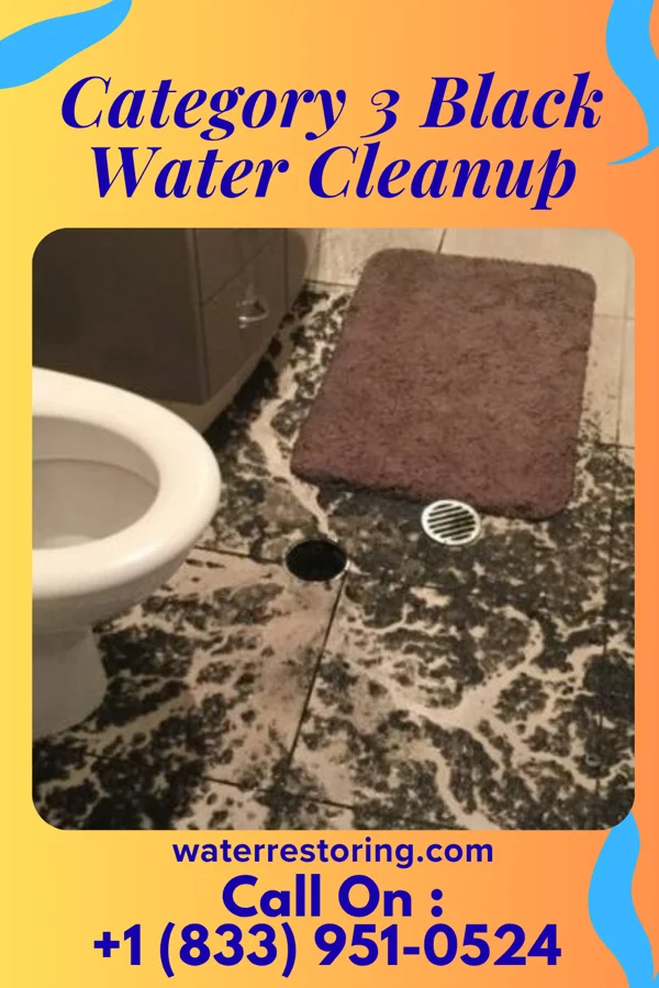 Category 3 Black Water Cleanup in Cairo, WV