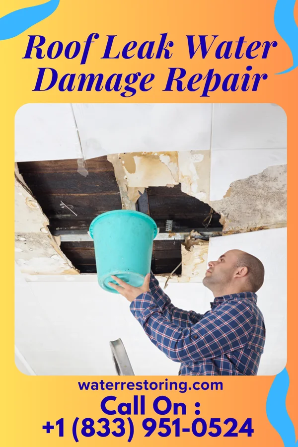 Roof Leak Water Damage Repair in Cairo, WV