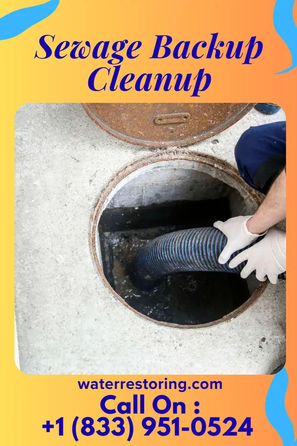 Sewage Backup Cleanup in Cairo, WV