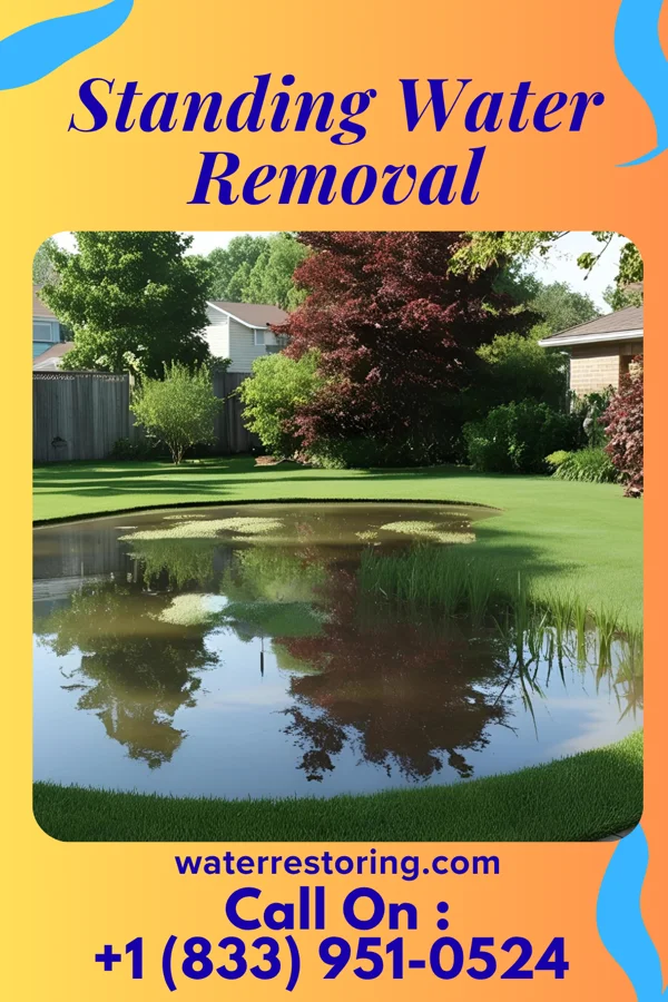 Standing Water Removal in Cairo, WV